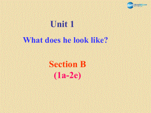 七年級英語上冊 Unit 1 What does he look like？Section B（1a-2e）課件