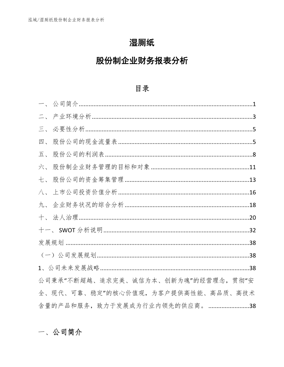 湿厕纸股份制企业财务报表分析_第1页