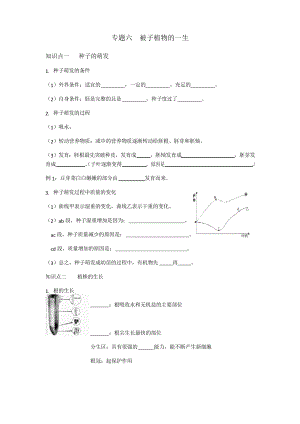 中考一輪復習 專題六被子植物的一生導學案設計