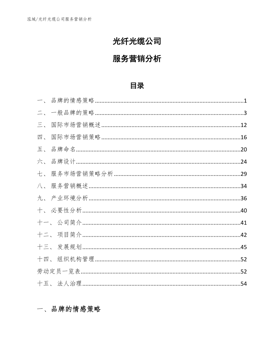 光纤光缆公司服务营销分析（参考）_第1页