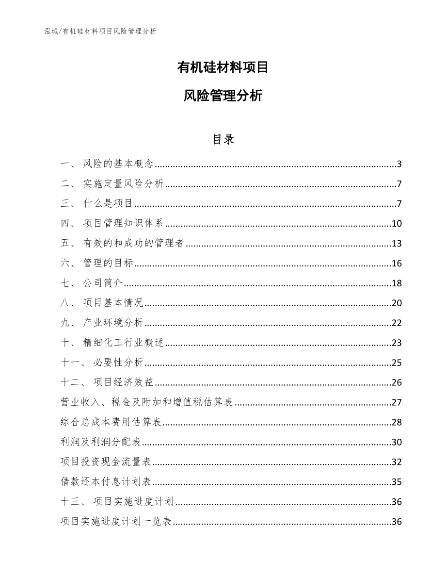 有机硅材料项目风险管理分析_第1页