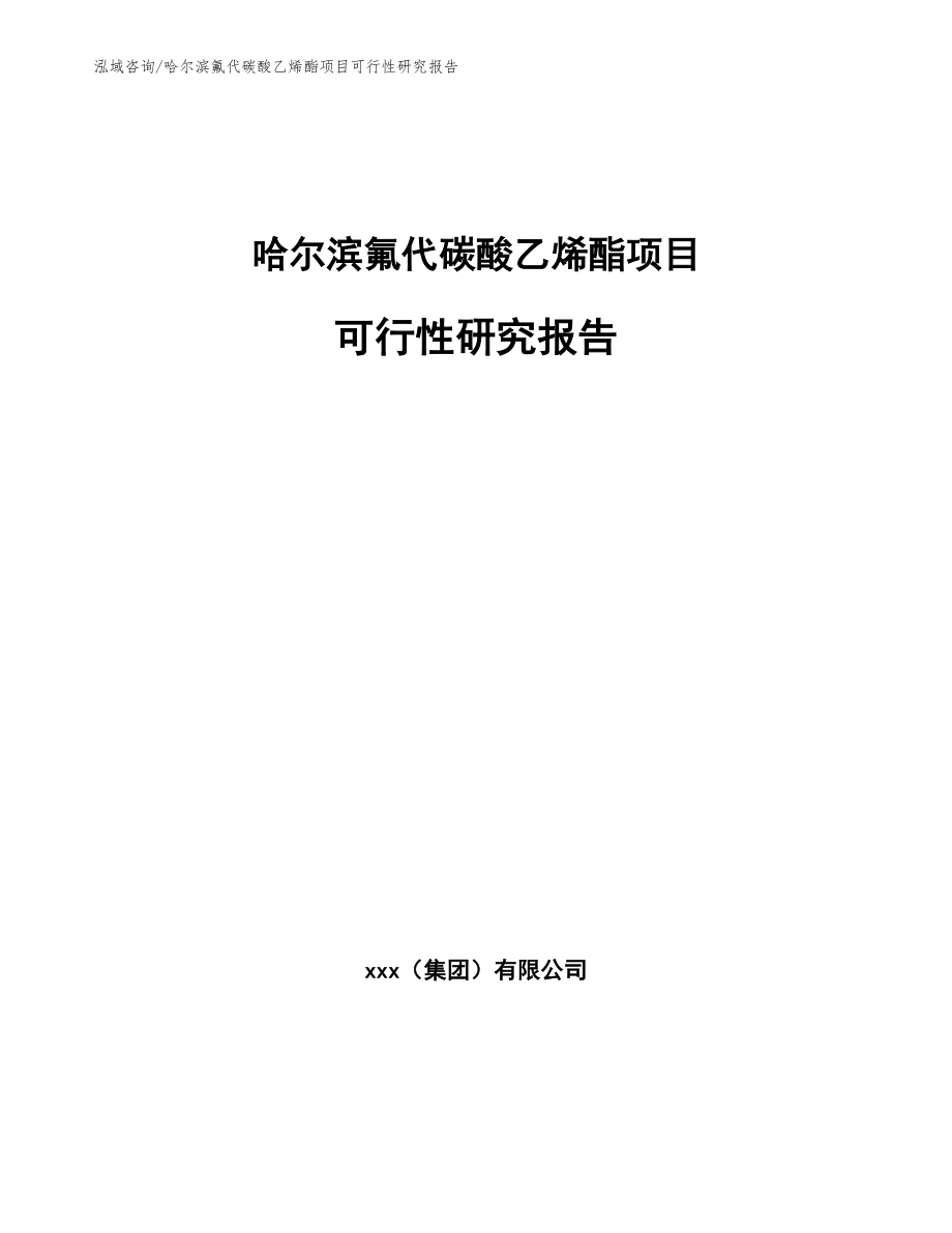 哈尔滨氟代碳酸乙烯酯项目可行性研究报告（模板范文）_第1页