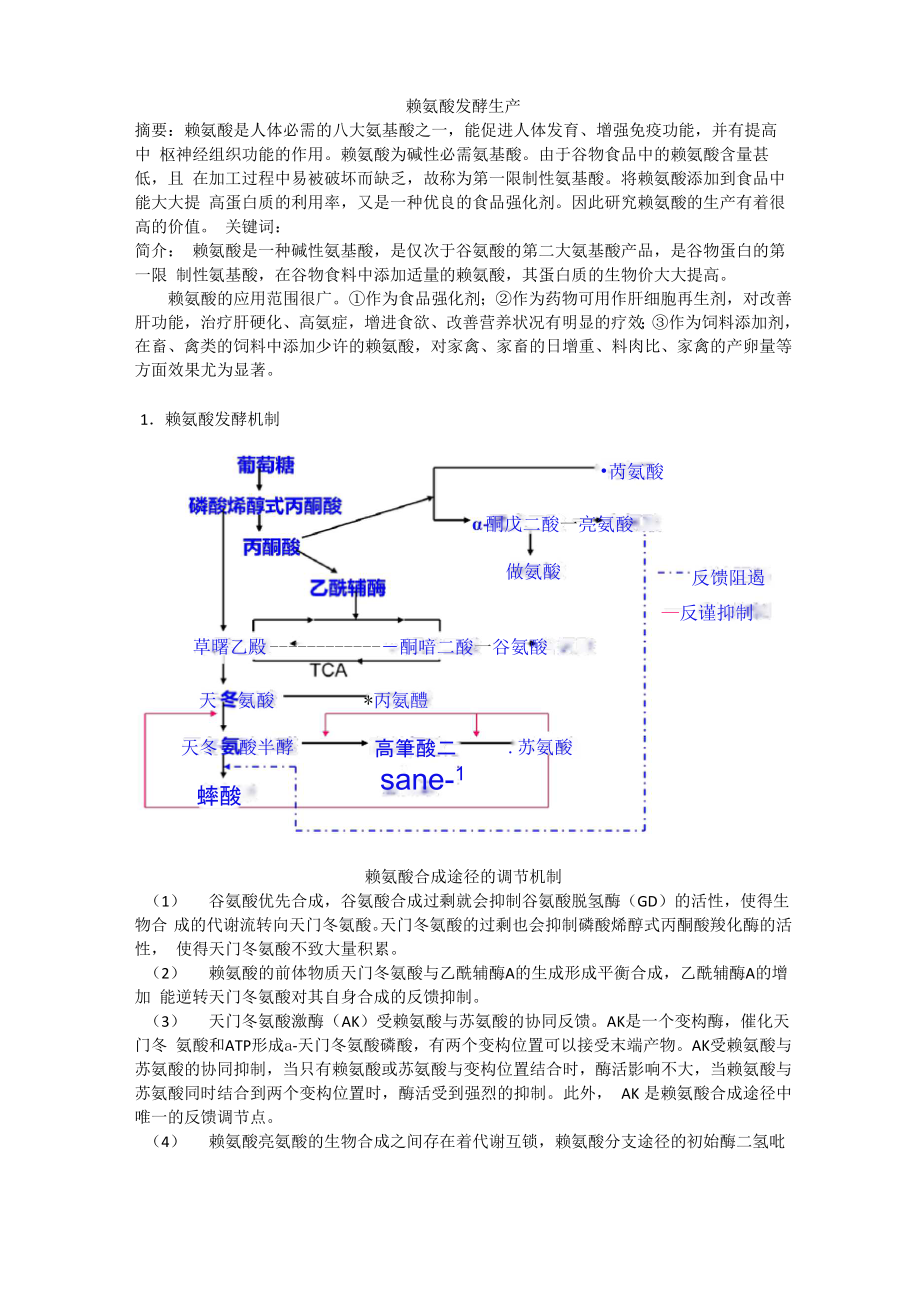 赖氨酸发酵生产_第1页