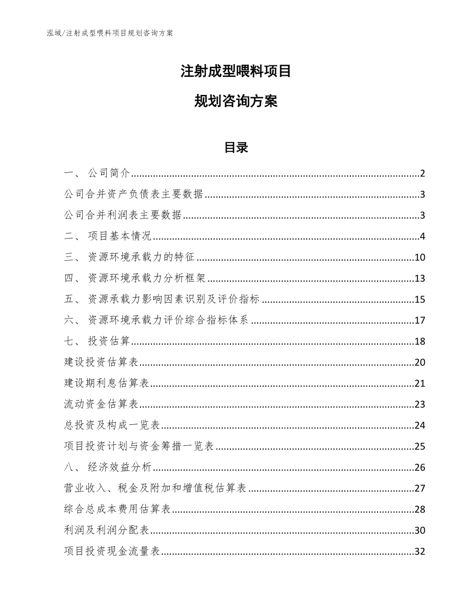 注射成型喂料项目规划咨询方案【范文】_第1页