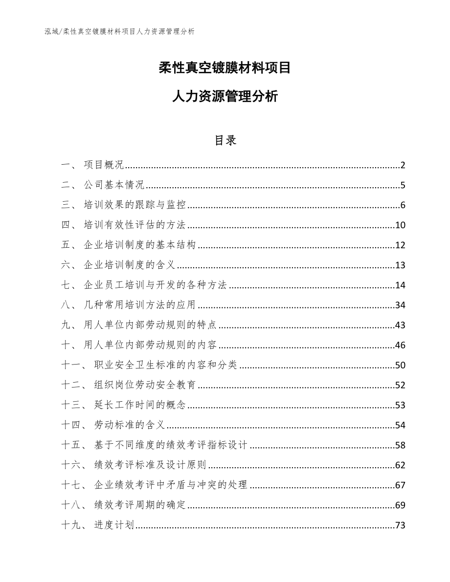 柔性真空镀膜材料项目人力资源管理分析（范文）_第1页