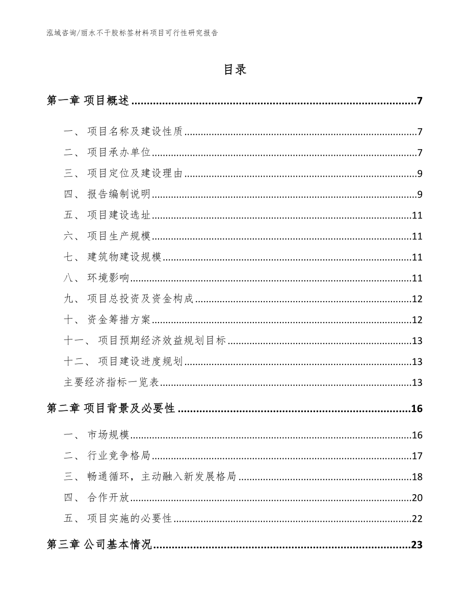 丽水不干胶标签材料项目可行性研究报告【参考范文】_第1页