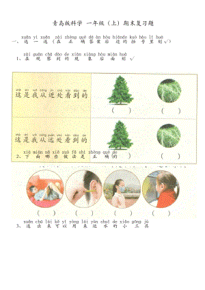 一年級(jí)上冊(cè)科學(xué)試題 期末復(fù)習(xí)青島版(六年制)