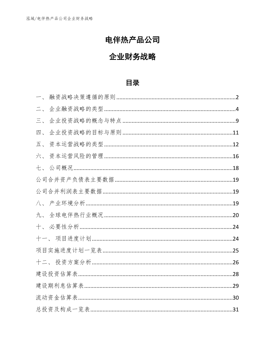 电伴热产品公司企业财务战略（参考）_第1页