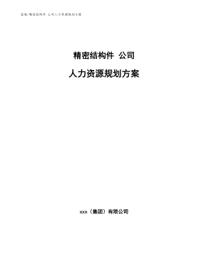 精密結(jié)構(gòu)件 公司人力資源規(guī)劃方案