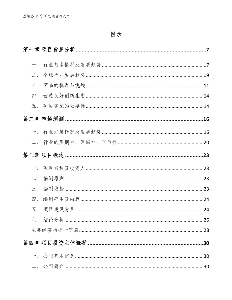 宁夏硅项目建议书_参考模板_第1页