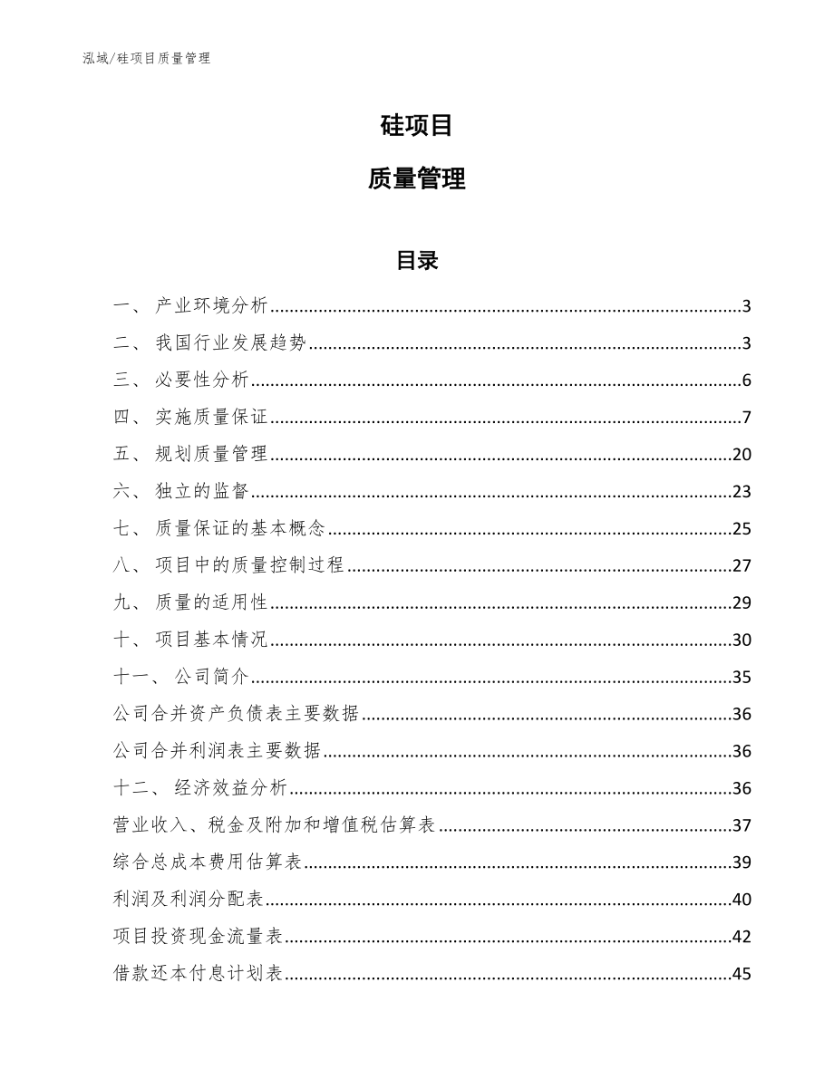 硅项目质量管理（范文）_第1页