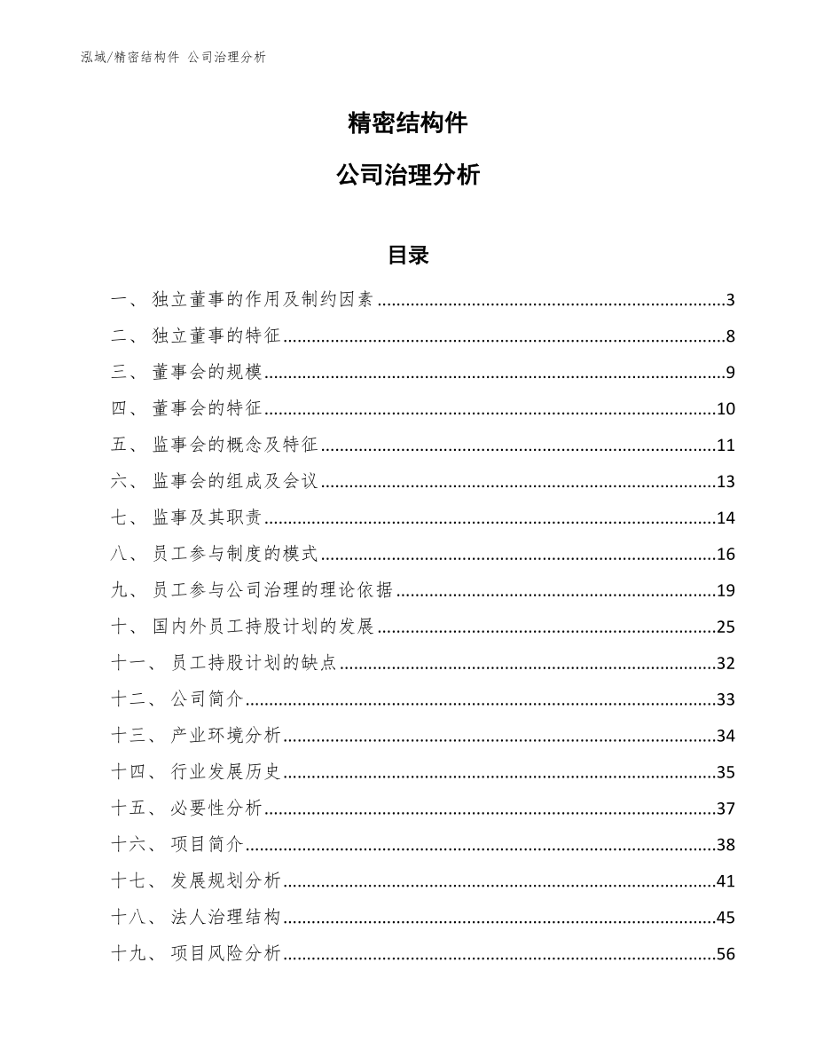 精密結(jié)構(gòu)件 公司治理分析【范文】_第1頁