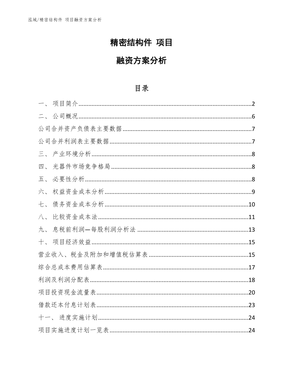 精密結構件 項目融資方案分析_范文_第1頁