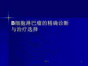 B細(xì)胞淋巴瘤的精確診斷1【行業(yè)一類】