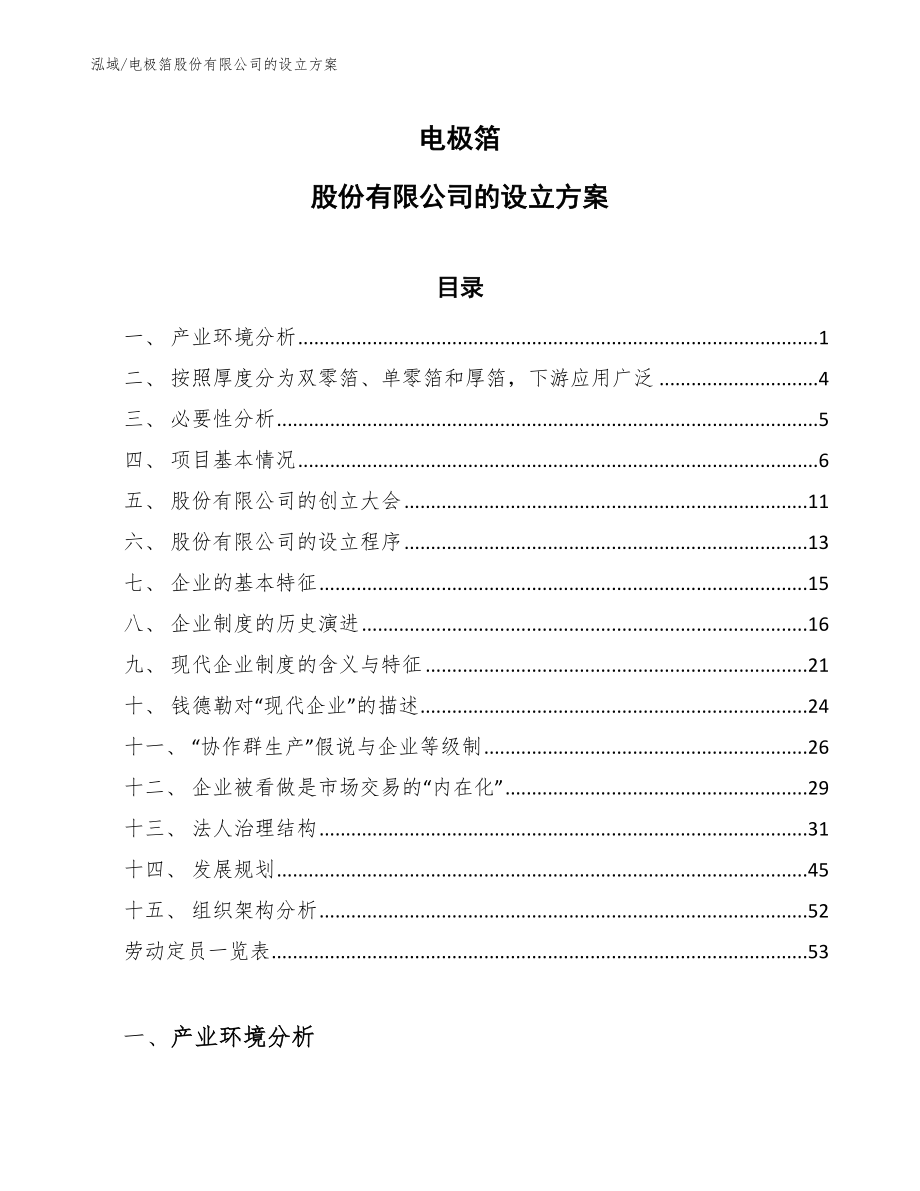 电极箔股份有限公司的设立方案_参考_第1页