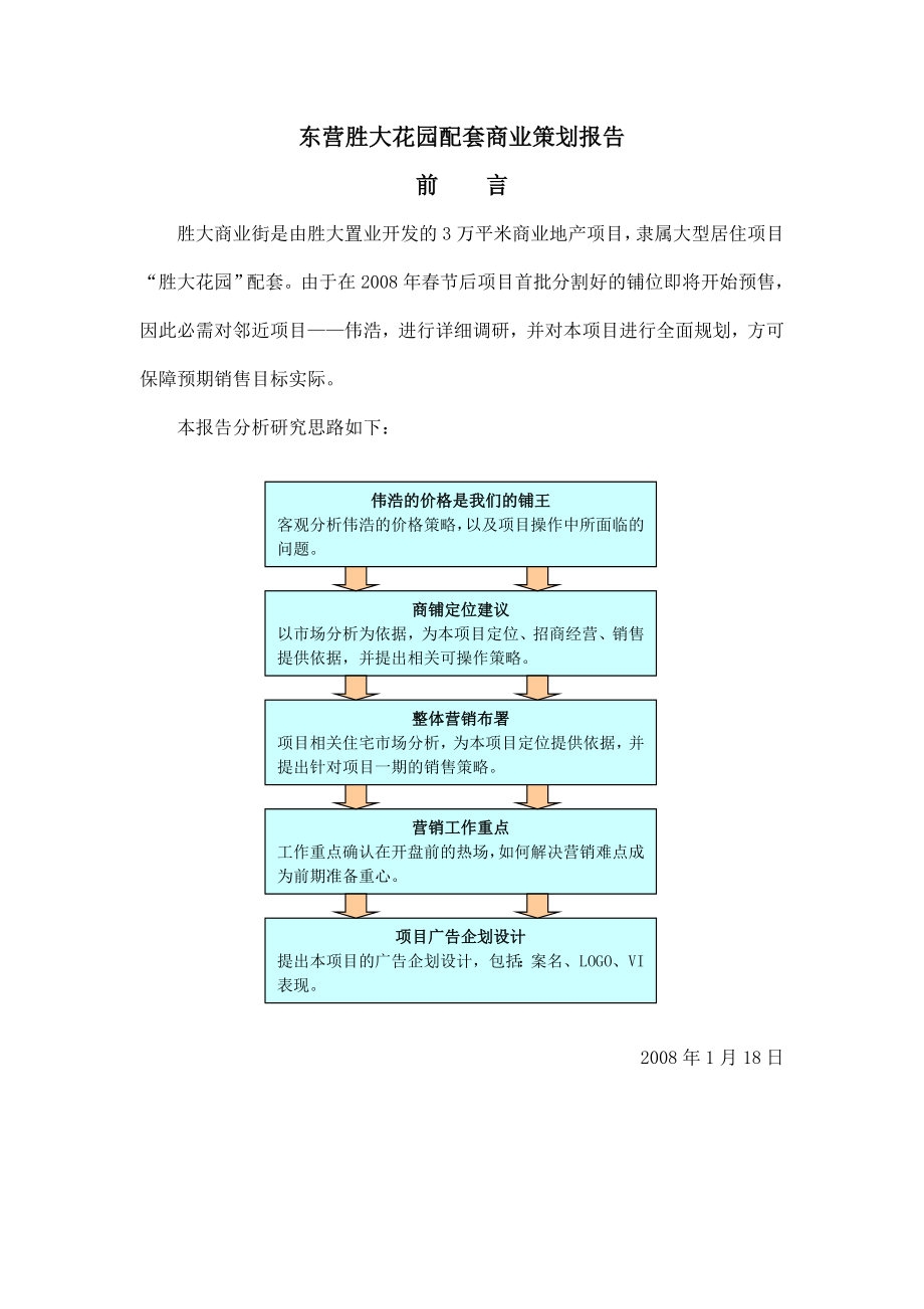 东营胜大花园配套商业策划报告_第1页
