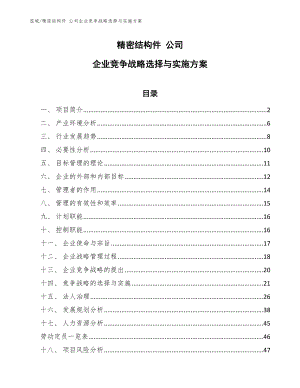 精密結(jié)構(gòu)件 公司企業(yè)競爭戰(zhàn)略選擇與實(shí)施方案_參考