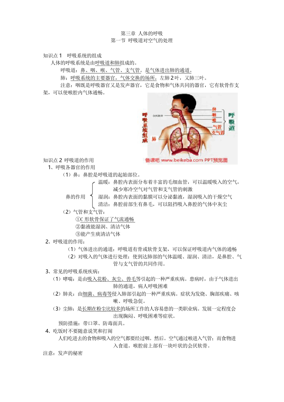 人教版七年級生物下冊 4.3 人體的呼吸 知識點總結提綱_第1頁