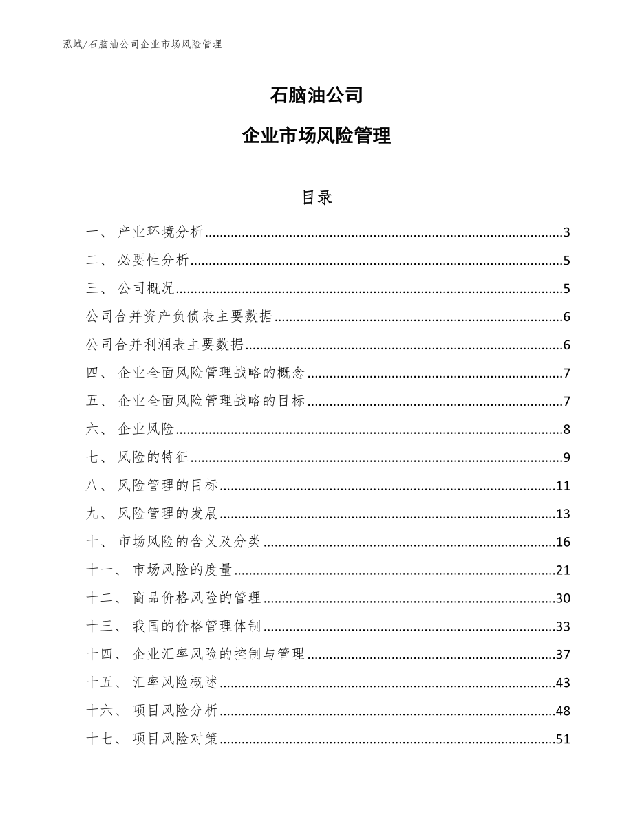 石脑油公司企业市场风险管理_第1页