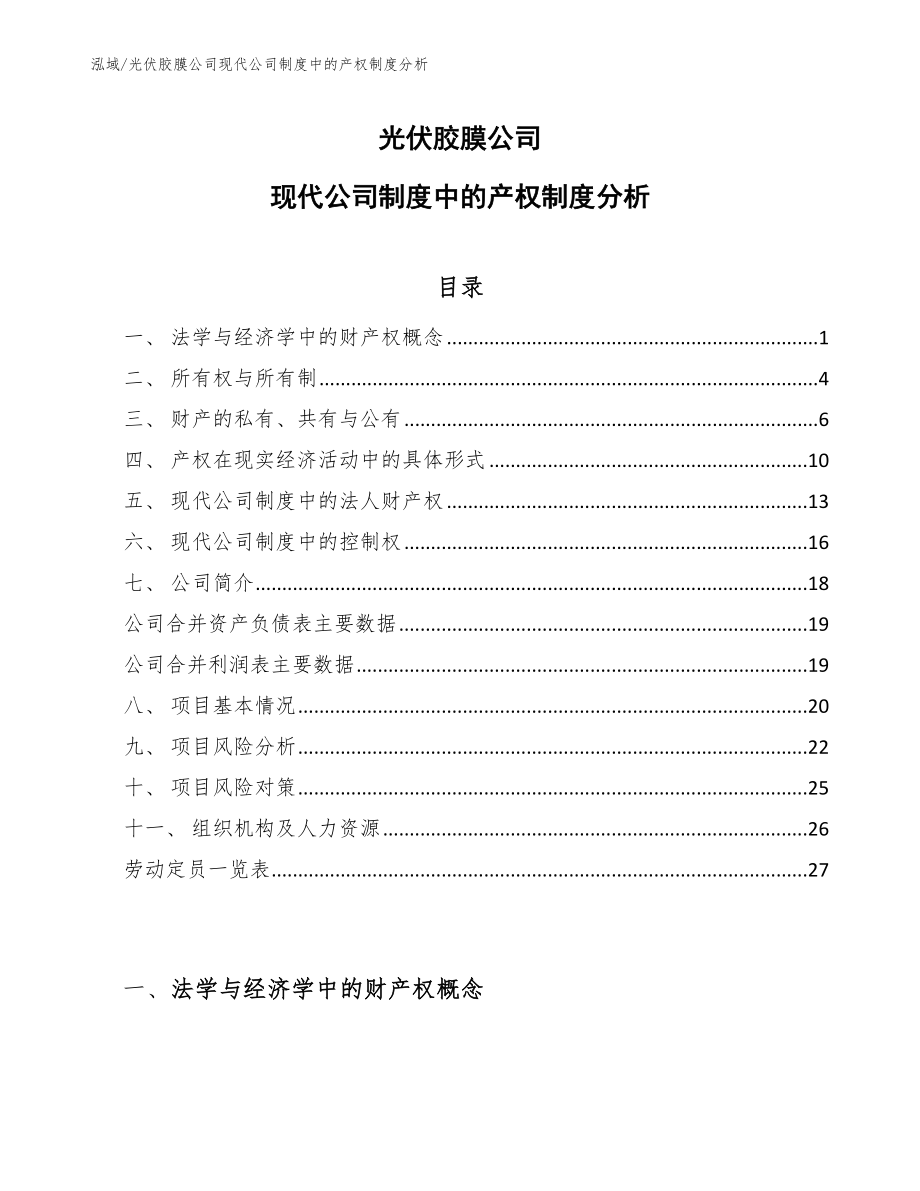 光伏胶膜公司现代公司制度中的产权制度分析_第1页