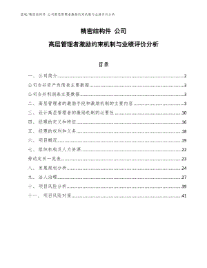 精密結(jié)構(gòu)件 公司高層管理者激勵約束機制與業(yè)績評價分析_范文