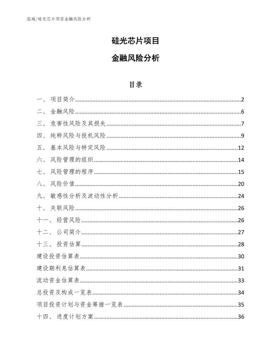 硅光芯片项目金融风险分析_范文_第1页