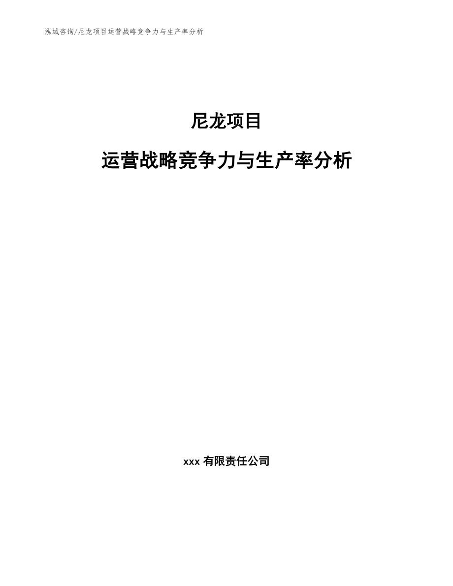 尼龙项目运营战略竞争力与生产率分析_第1页