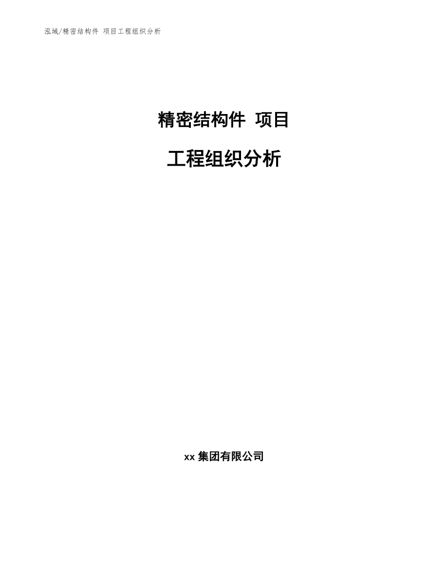 精密結(jié)構(gòu)件 項目工程組織分析_范文_第1頁