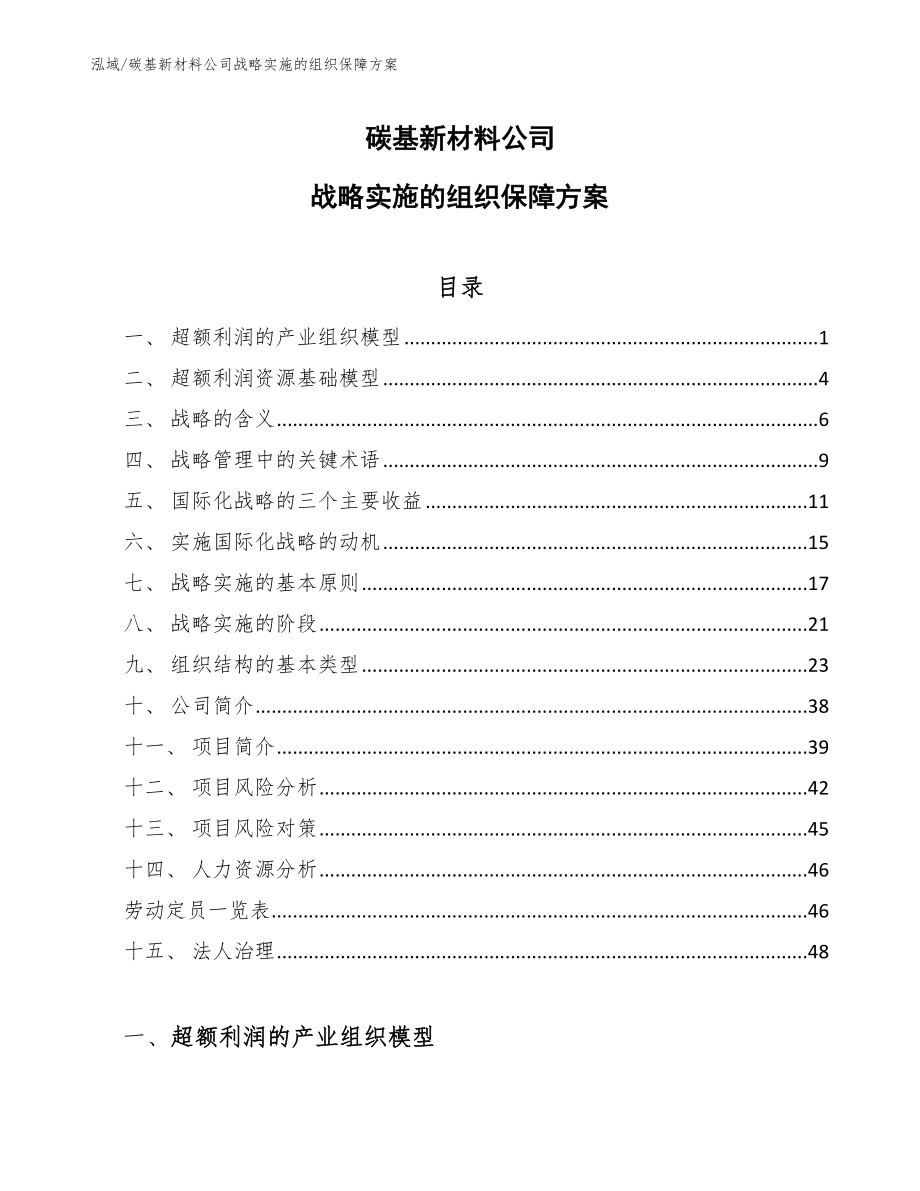 碳基新材料公司战略实施的组织保障方案_范文_第1页