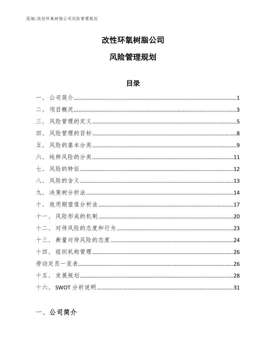 改性环氧树脂公司风险管理规划【参考】_第1页