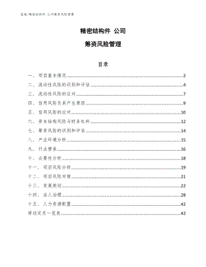 精密結(jié)構(gòu)件 公司籌資風(fēng)險管理（參考）