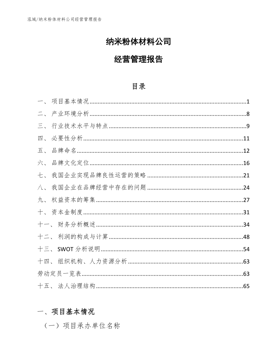 纳米粉体材料公司经营管理报告_参考_第1页