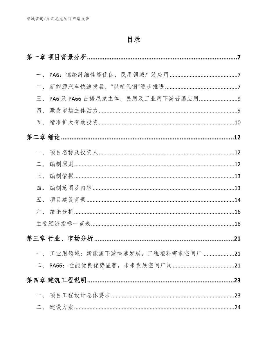九江尼龙项目申请报告_模板_第1页