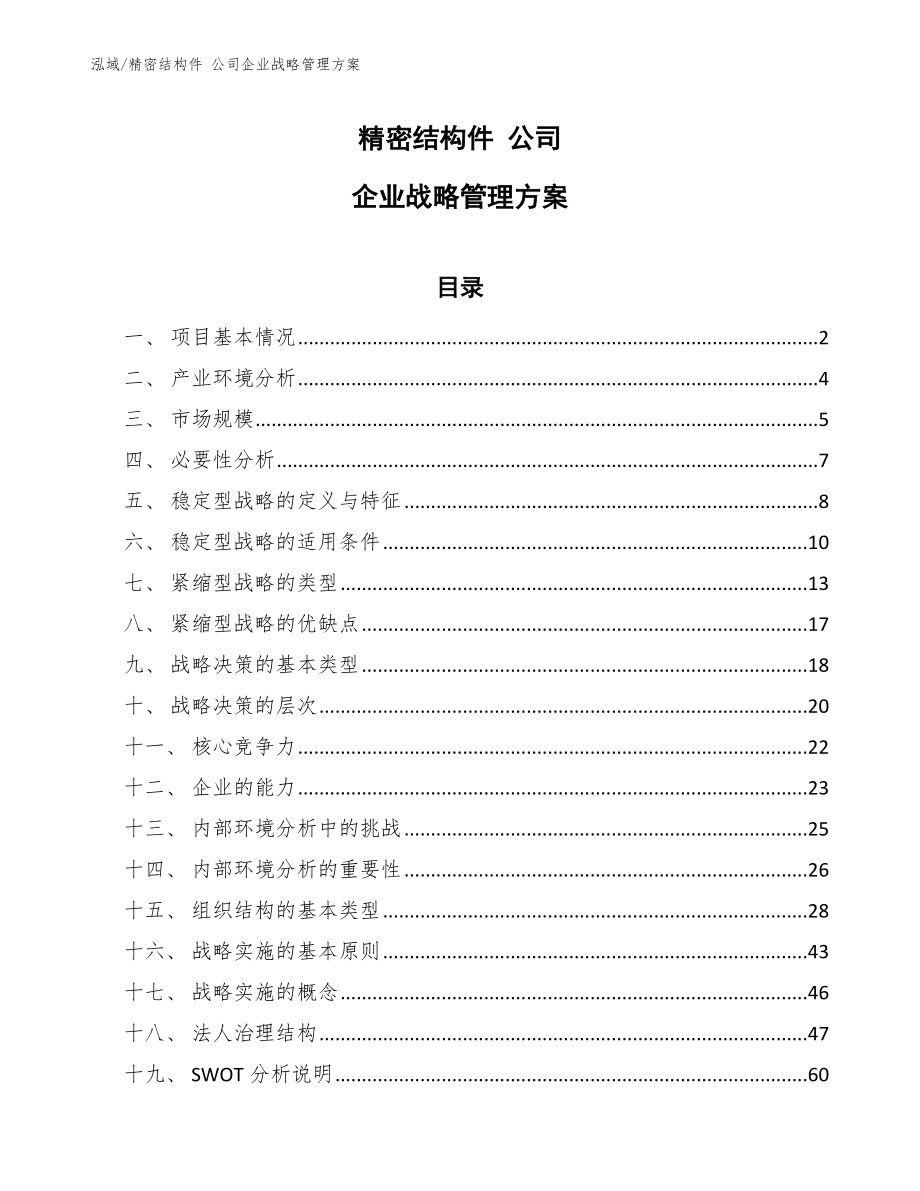 精密結構件 公司企業(yè)戰(zhàn)略管理方案_第1頁