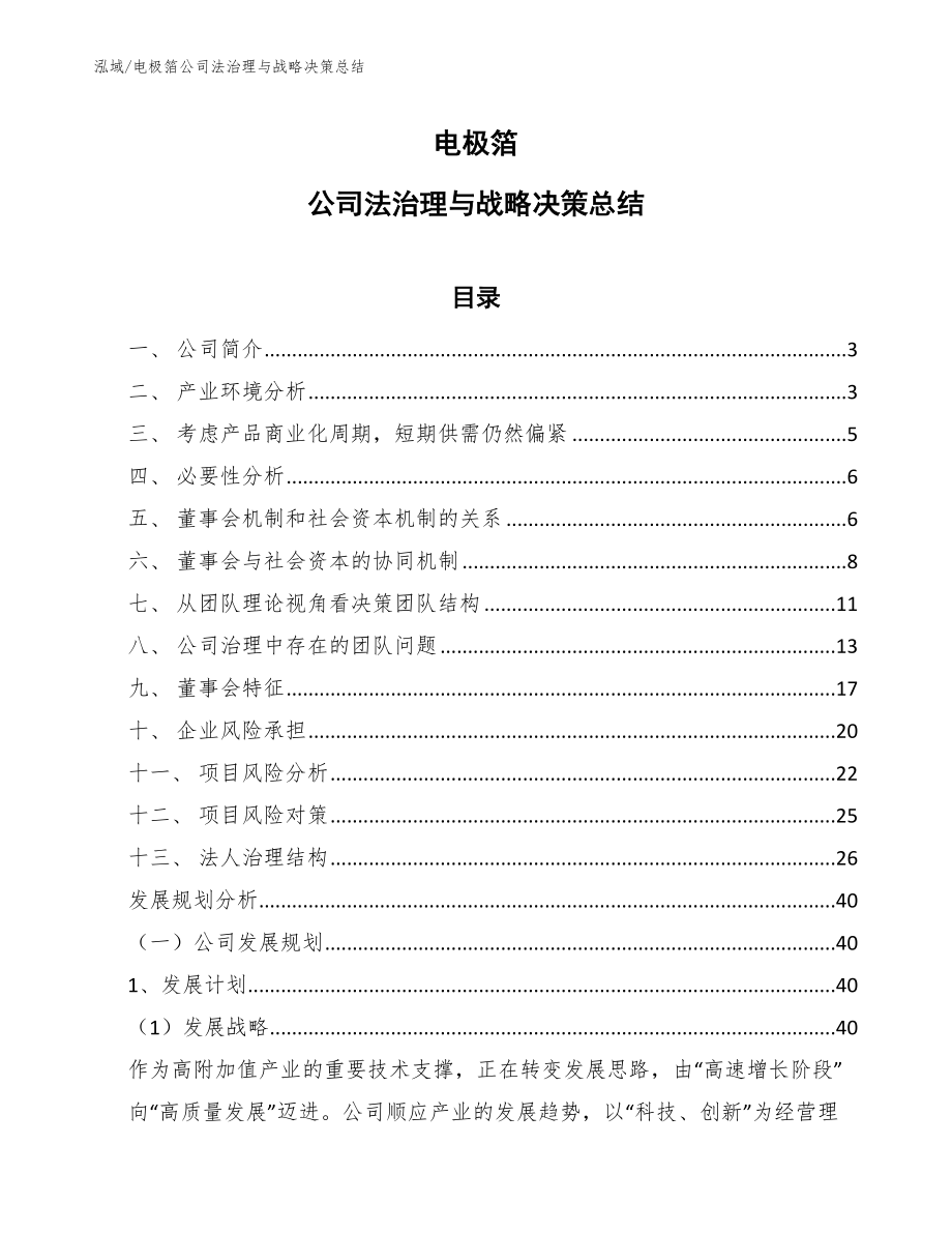 电极箔公司法治理与战略决策总结【参考】_第1页