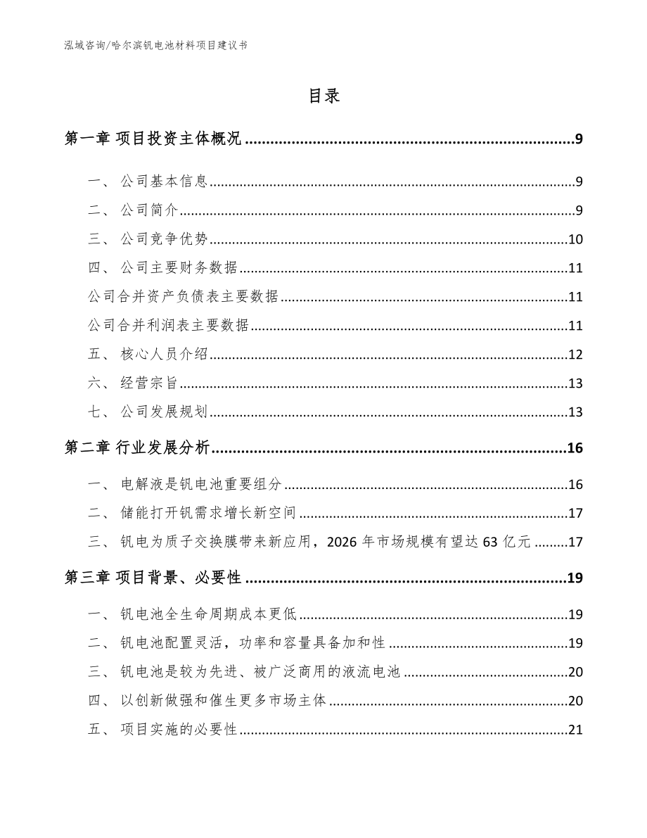 哈尔滨钒电池材料项目建议书（参考模板）_第1页