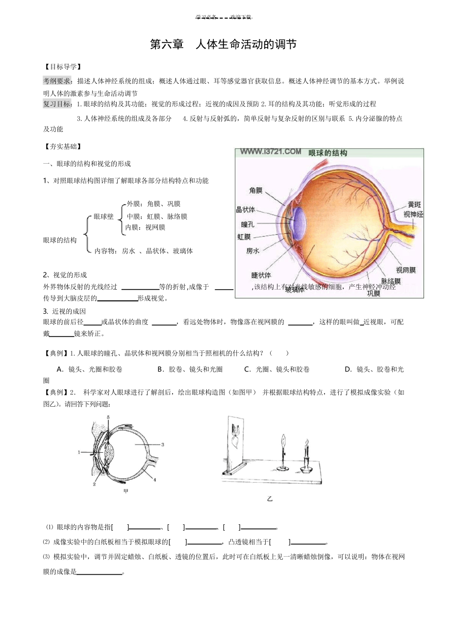 八下生物《第六章人體生命活動(dòng)的調(diào)節(jié)》教案_第1頁