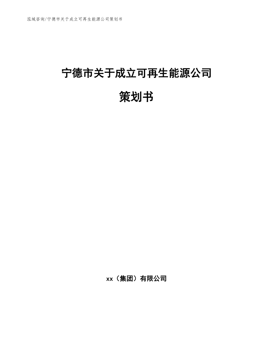 宁德市关于成立可再生能源公司策划书_第1页