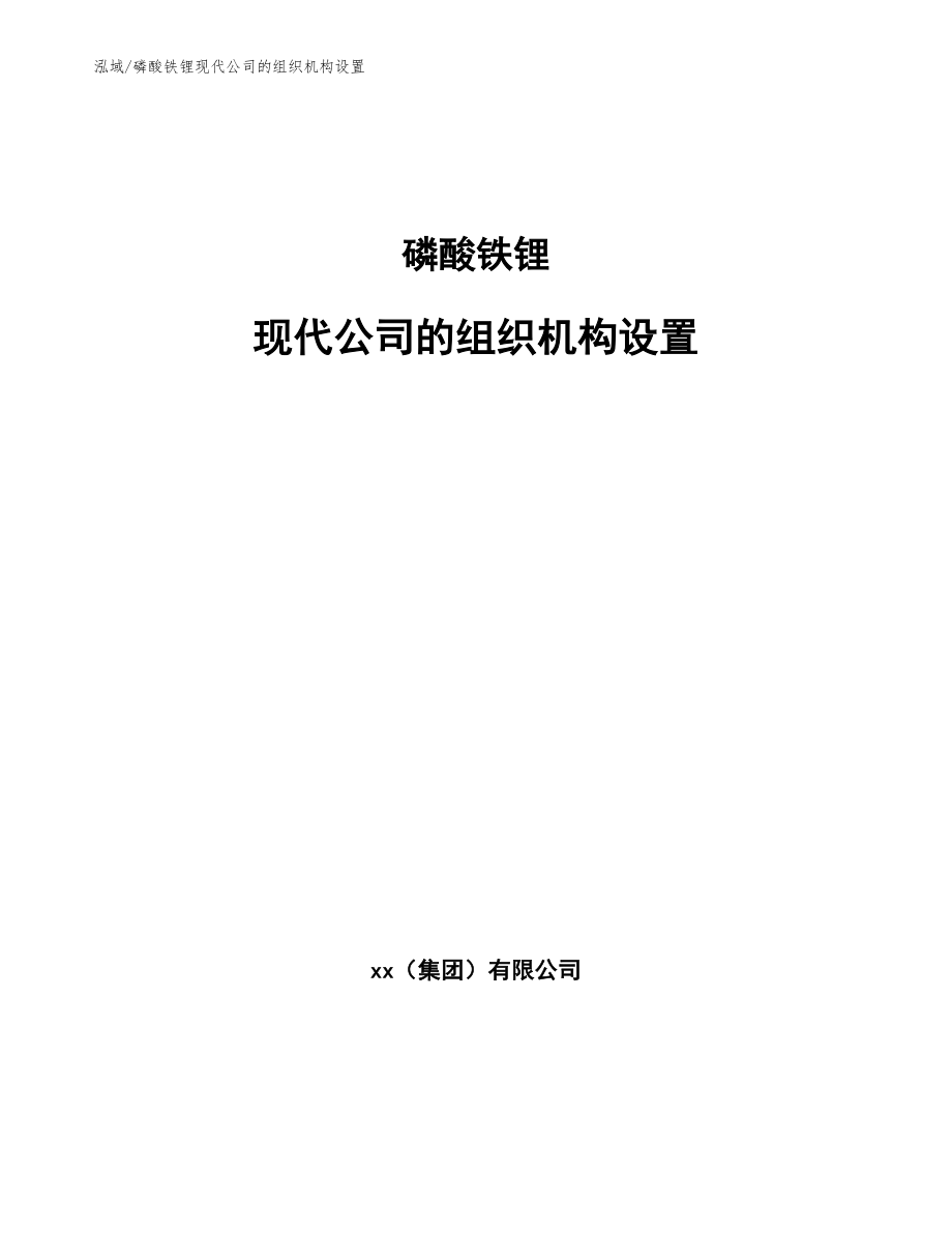 磷酸铁锂现代公司的组织机构设置【参考】_第1页