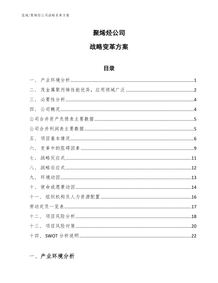 聚烯烃公司战略变革方案_第1页