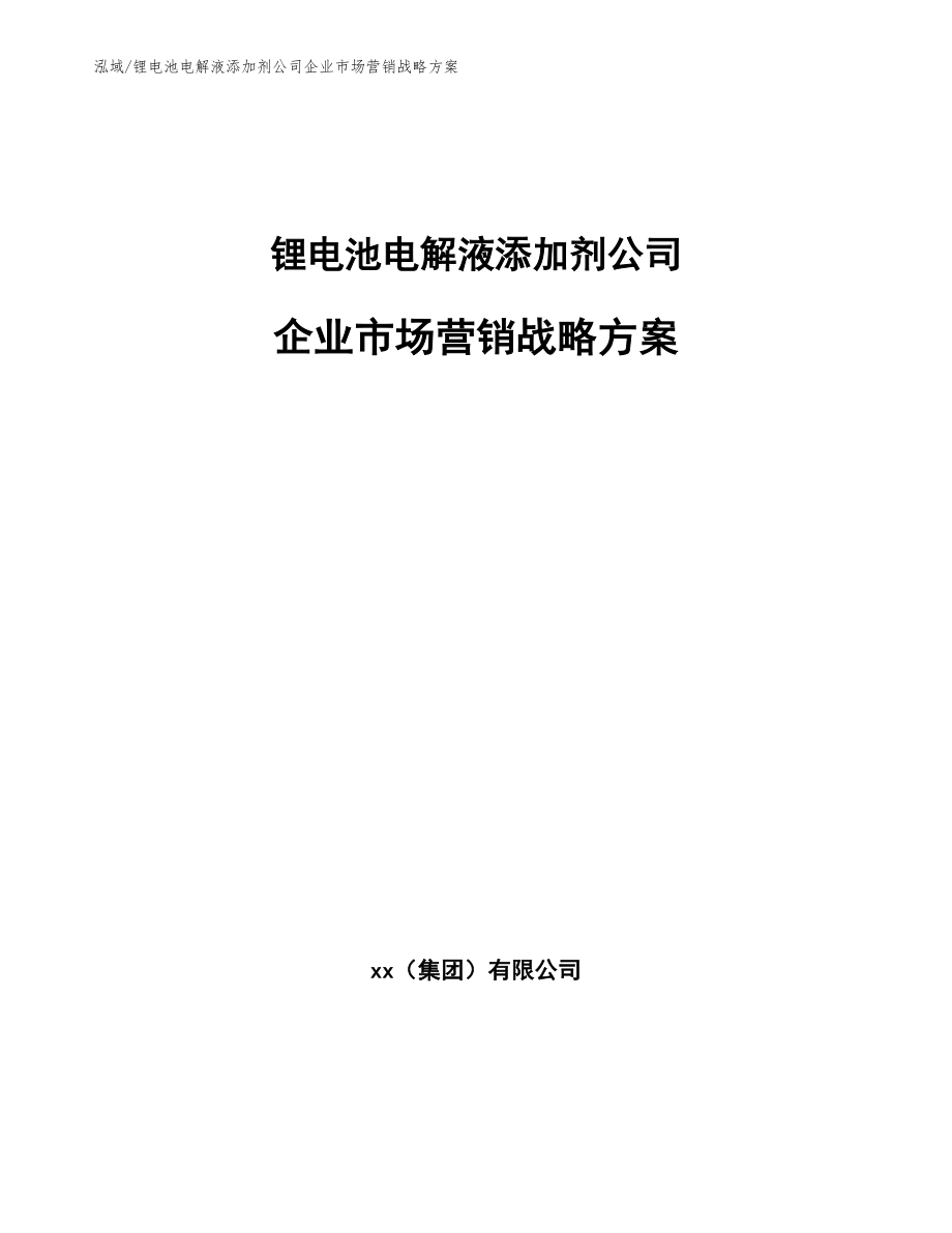 锂电池电解液添加剂公司企业市场营销战略方案（范文）_第1页