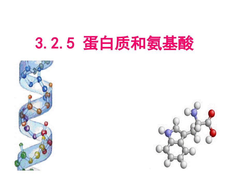 蛋白质和氨基酸上课课件_第1页