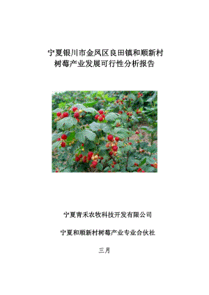 农村发展树莓经济产业循环链项目可行分析报告