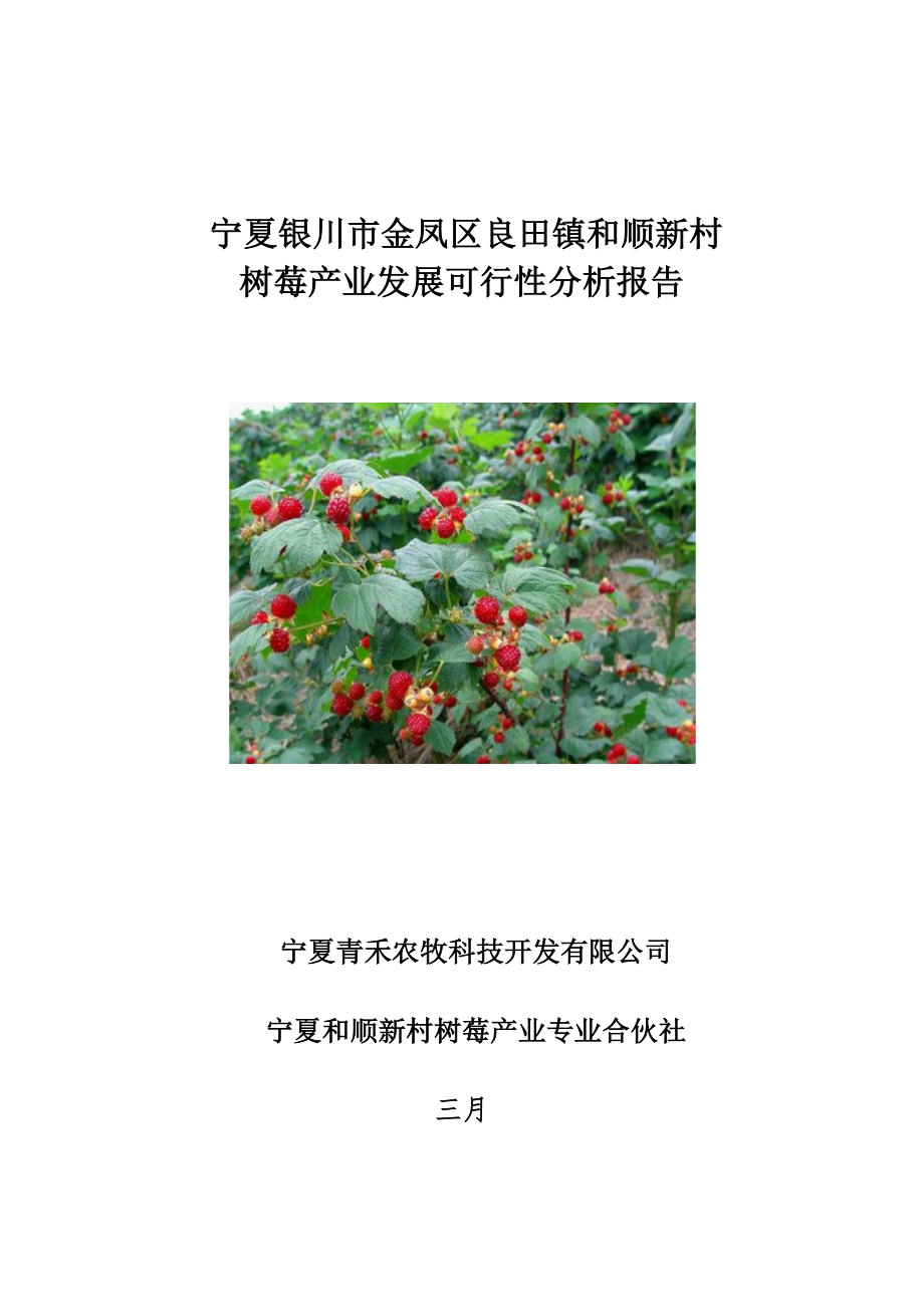 农村发展树莓经济产业循环链项目可行分析报告_第1页