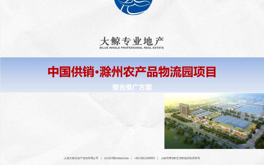 中国供销滁州农产物流园项目整合推广方案各阶段推广节奏及组合策略_第1页