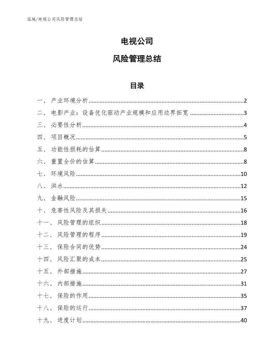 电视公司风险管理总结_范文_第1页