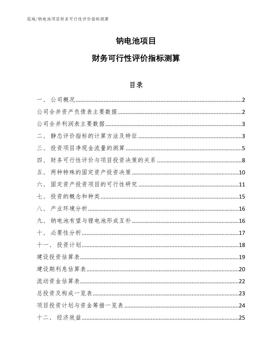 钠电池项目财务可行性评价指标测算（参考）_第1页