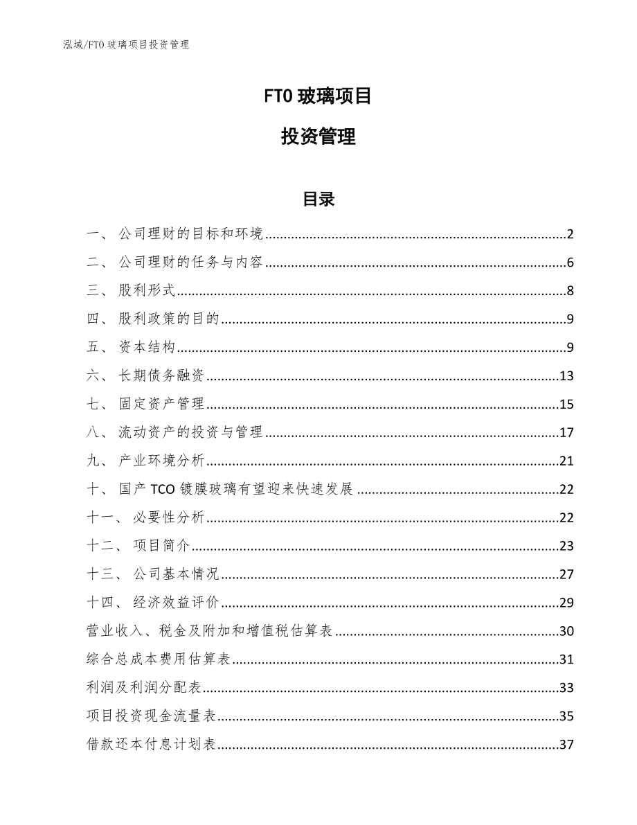 FTO玻璃项目投资管理_第1页