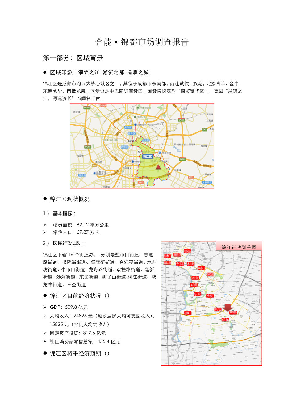 0110锦江区市调报告_第1页