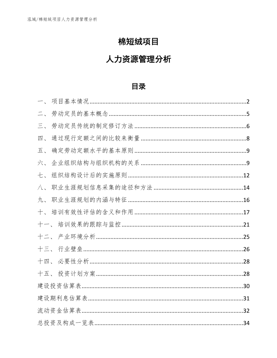 棉短绒项目人力资源管理分析_范文_第1页